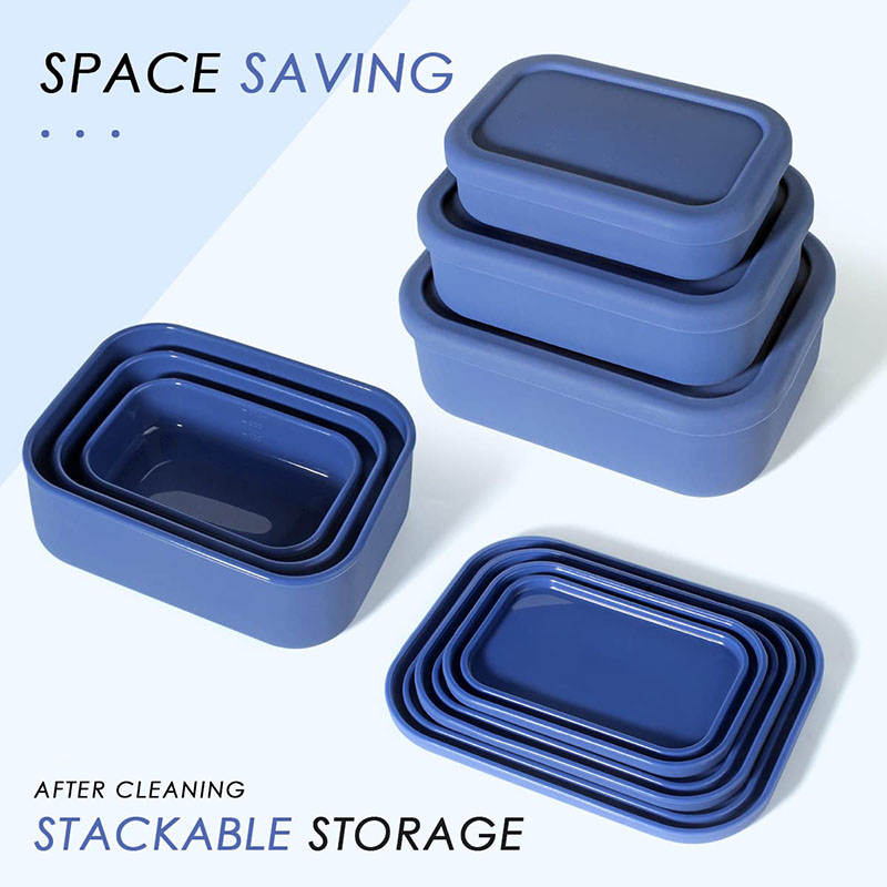 Leak-Resistant Bento Lunch Box - Meal Prep Boxen Glas review and price