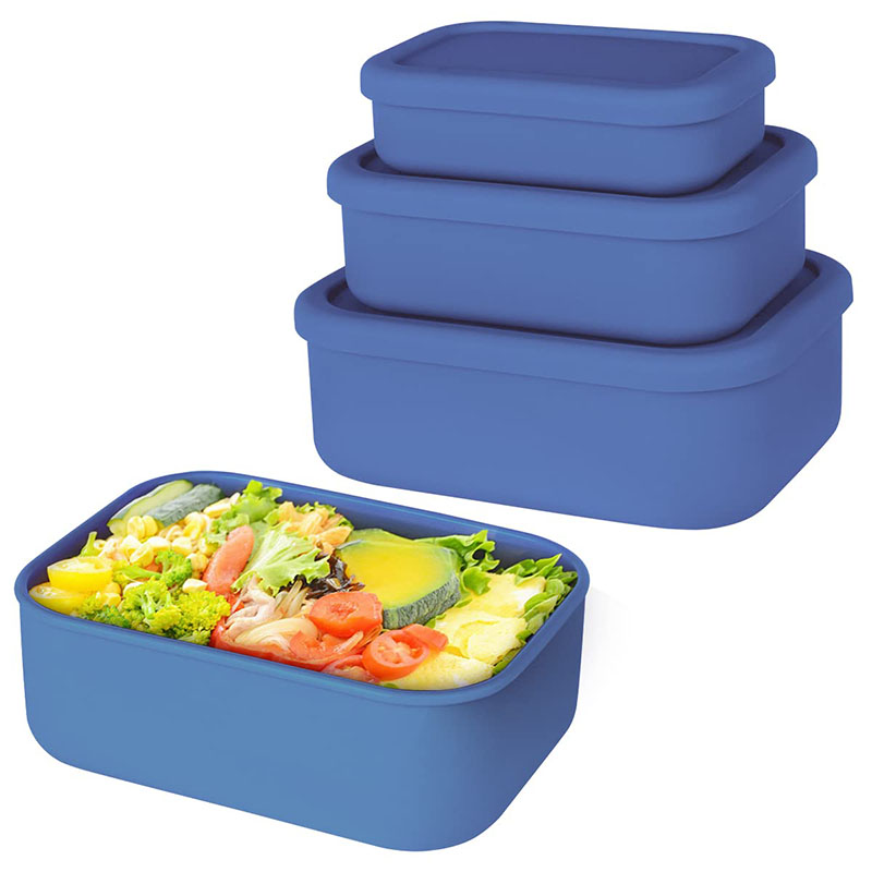 Leak-Resistant Bento Lunch Box - Meal Prep Boxen Glas review and price