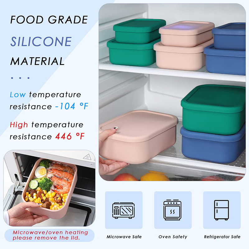 Leak-Resistant Bento Lunch Box - Meal Prep Boxen Glas review and price