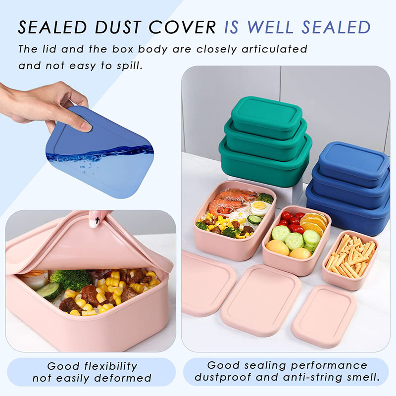 Leak-Resistant Bento Lunch Box - Meal Prep Boxen Glas review and price